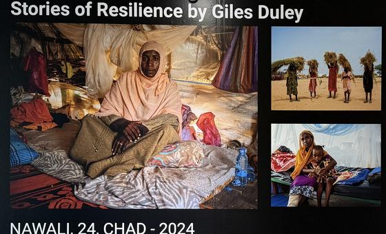 أُصيبت نوالي بشلل الأطفال في طفولتها، واضطرت للزحف من دارفور إلى تشاد بحثًا عن الأمان بعد أن كسرت الميليشيات كرسيها المتحرك.